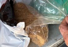 VIDEO: Tânăr reținut după o acțiune a Direcției Regionale Antifraudă Târgu-Jiu