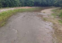 SGA Gorj, în control pe Sohodol