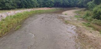 SGA Gorj, în control pe Sohodol