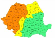 Cod portocaliu de vijelii