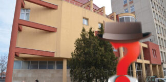 Cine ar putea ajunge șeful CEO!