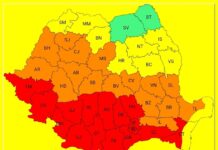 Cod ROȘU de caniculă în Gorj