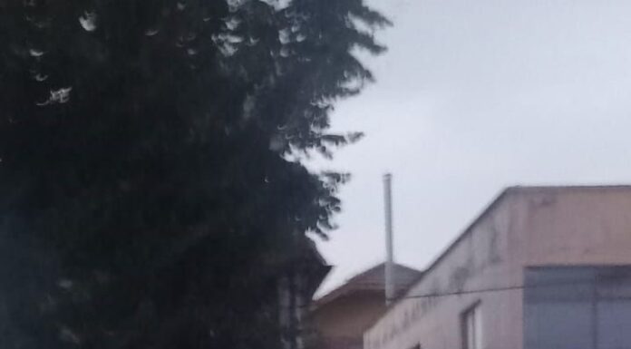 Furtuna de sâmbătă seara a lăsat zeci de familii din județ fără electricitate