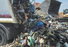 Controale și amenzi de aproape 2.000.000 de lei de la Garda de Mediu