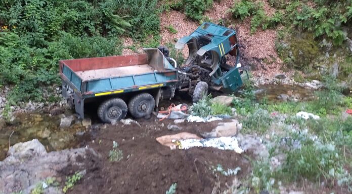 FOTO: Accident cu doi morți, pe un drum forestier din Peștișani