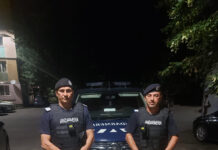 Un câine periculos, care a scăpat dintr-un apartament din Târgu-Jiu, prins de jandarmi în timpul unui atac