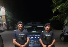 Câine periculos scăpat dintr-un apartament din Târgu-Jiu, prins de jandarmi