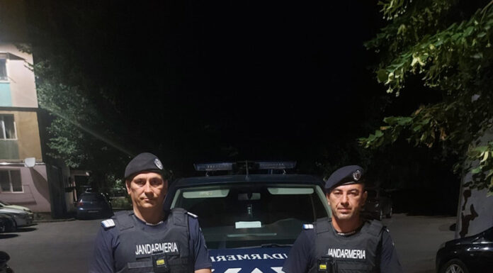 Câine periculos scăpat dintr-un apartament din Târgu-Jiu, prins de jandarmi