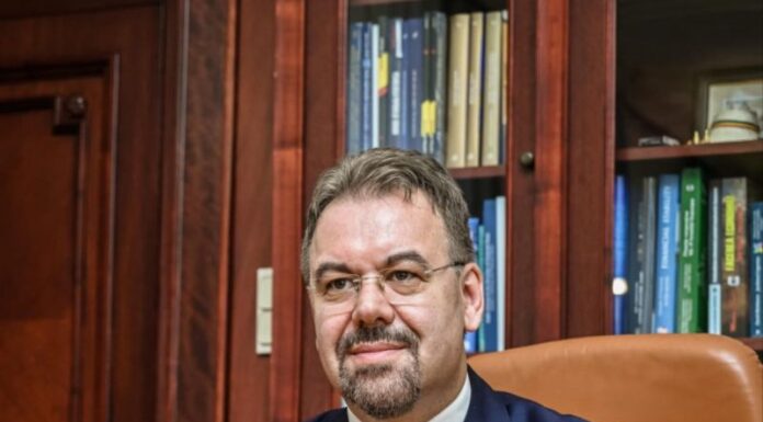 Leonardo Badea, Prim-viceguvernator BNR: O analiză conceptuală asupra evoluției cursului real de schimb în Europa Centrală și de Est după izbucnirea pandemiei