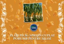 APIA continuă plățile pentru fermieri