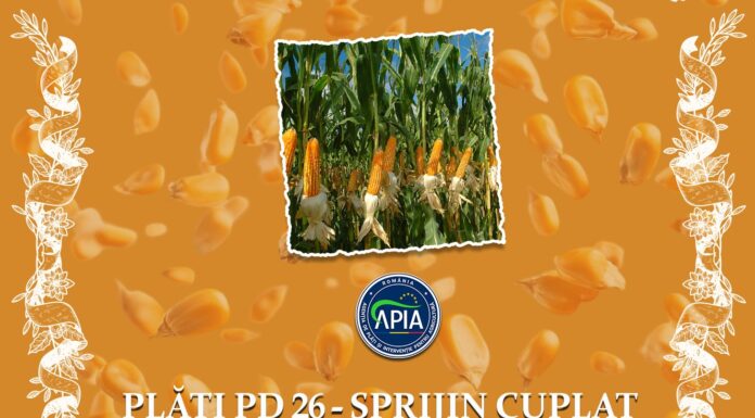 APIA continuă plățile pentru fermieri