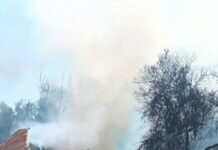 Salariații Minprest Serv amenință: ,,Ne vom lega cu lanțuri de ușile CEO și vom intra în greva foamei!”