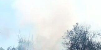 Salariații Minprest Serv amenință: ,,Ne vom lega cu lanțuri de ușile CEO și vom intra în greva foamei!”