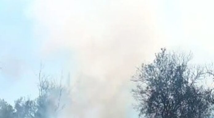 Salariații Minprest Serv amenință: ,,Ne vom lega cu lanțuri de ușile CEO și vom intra în greva foamei!”