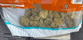 Patru tineri, arestați! Unul dintre ei voia să vândă 220 de grame de cannabis cu 8.000 de lei