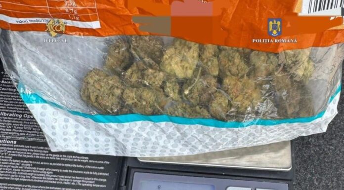 Patru tineri, arestați! Unul dintre ei voia să vândă 220 de grame de cannabis cu 8.000 de lei