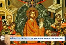 Începutul Postului Praznicului «Adormirea Maicii Domnului» – ,,Postul te ajută şi este «sală de aşteptare» în care creştinul, îmbolnăvit de păcate, trebuie să cugete, până-i vine rândul, cum să-şi dezvăluiască boala mai sincer”!