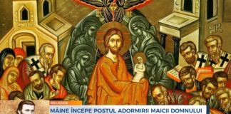 Începutul Postului Praznicului «Adormirea Maicii Domnului» – ,,Postul te ajută şi este «sală de aşteptare» în care creştinul, îmbolnăvit de păcate, trebuie să cugete, până-i vine rândul, cum să-şi dezvăluiască boala mai sincer”!