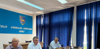 Autoritățile iau măsuri pentru preîntâmpinarea pericolelor din Defileul Jiului