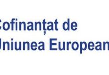 INFORMAȚII RELEVANTE proiect E-Skill – Abilități digitale pentru piața muncii COD SMIS 334321