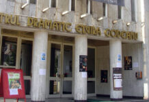 Teatrul ”Elvira Godeanu” face casting pentru găsirea unui băiețel talentat