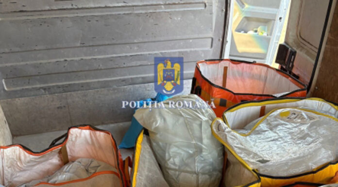 Inspectorii Direcției Regionale Antifraudă Târgu-Jiu, în acțiune la Bechet