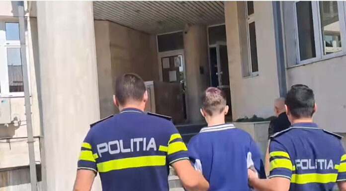 Adolescent reținut după ce și-a înjunghiat bunica, de față cu tatăl lui