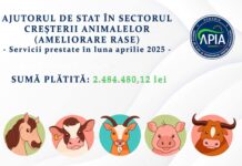 APIA: Bani pentru crescătorii de animale