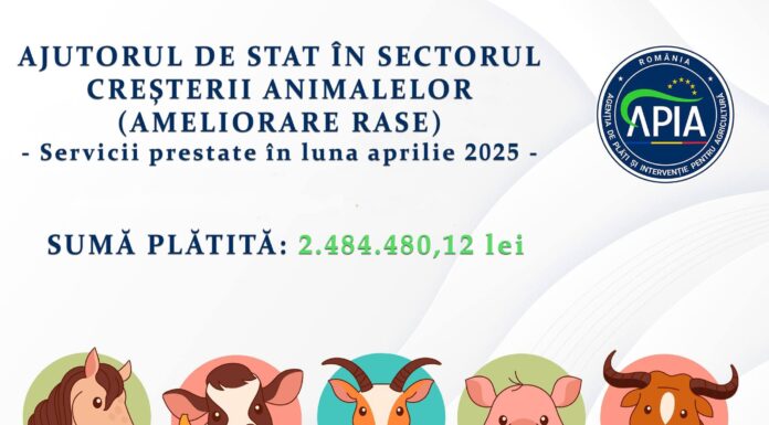 APIA: Bani pentru crescătorii de animale