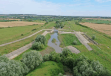 Apele Române își concesionează terenurile