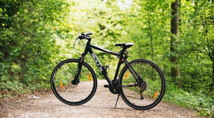 De la învățarea experiențială la industria cursurilor pentru copii