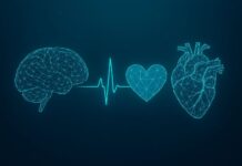 Strategie nouă pentru bolile de inimă și AVC