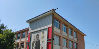 Gorjeanul care a modelat infinitul, pictat pe un liceu din Hunedoara