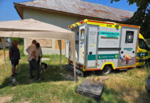 CJ Gorj organizează o campanie de sterilizare gratuită a câinilor în comuna Dănciulești