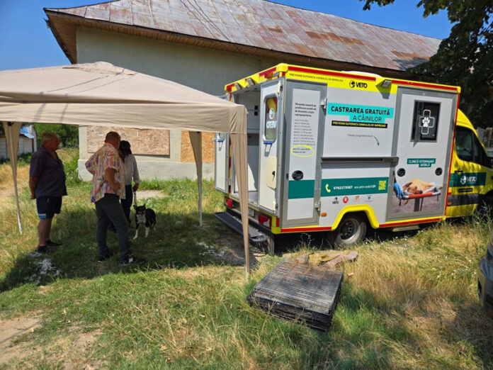 CJ Gorj organizează o campanie de sterilizare gratuită a câinilor în comuna Dănciulești