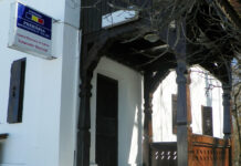 Consilier din Ambasada Franței, la operele lui Brâncuși!