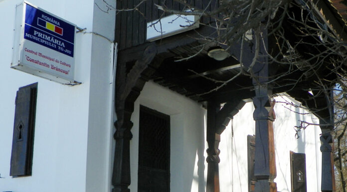 Consilier din Ambasada Franței, la operele lui Brâncuși!