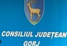 Bugetul județului, rectificat la sfârșitul lunii