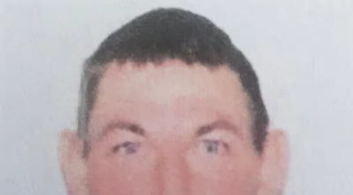 Tânărul dispărut după o ceartă cu mama lui, găsit în grădină