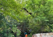 Defileul Jiului: Lucrări de întreținere a plaselor de protecție