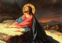 Gânduri la ceas călduros de vară