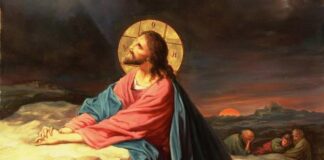 Gânduri la ceas călduros de vară