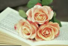 O pledoarie în favoarea cărții