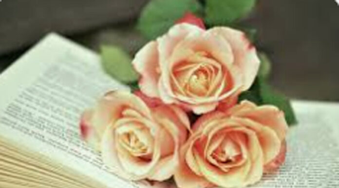 O pledoarie în favoarea cărții