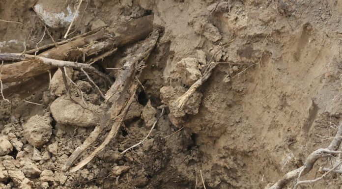 Branșamente ilegale la rețeaua de apă, depistate la Baia de Fier