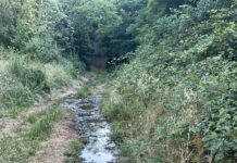 Firmă din Bumbești Jiu, amendată cu 60.000 de lei