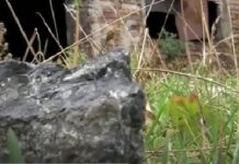 Fonduri europene pentru procesarea grafitului de la Baia de Fier