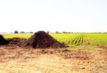 Agricultura pe înțelesul tuturor – Gunoiul de grajd – o comoară a fermierilor – (1)