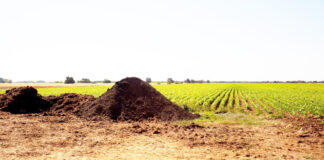 Agricultura pe înțelesul tuturor – Gunoiul de grajd – o comoară a fermierilor – (1)
