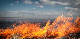Incendiu de vegetație în apropierea spitalului de la Dobrița